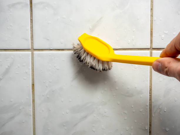 Trusted Richgrove, CA Mold Removal Experts