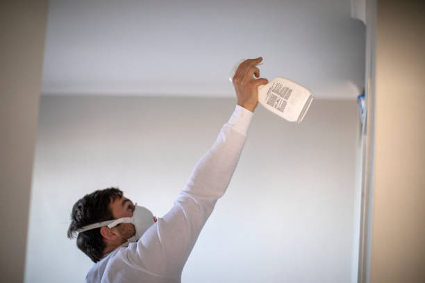 Home Mold Removal in Richgrove, CA