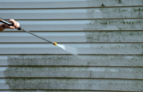Best Attic Mold Removal  in Richgrove, CA