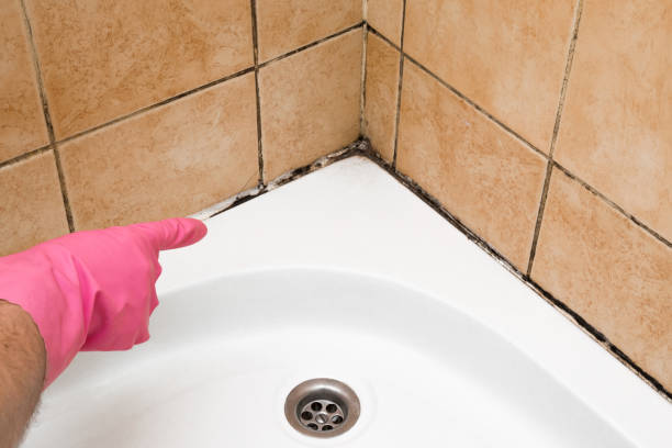 Best Office Mold Removal Services  in Richgrove, CA